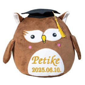 Hímzett, plüss bagoly párna, névvel vagy felirattal