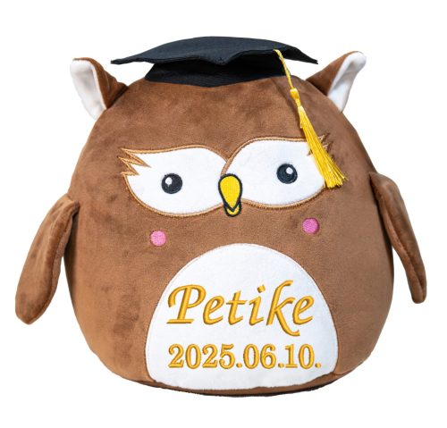 Hímzett, plüss bagoly párna, névvel vagy felirattal