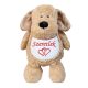 Hímzett plüss kutyus, névvel vagy felirattal