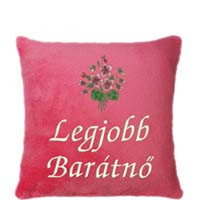 Barát, Barátnő hímzett párnák