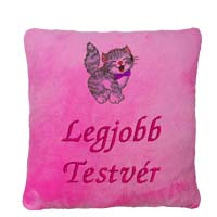 Testvéres hímzett párnák