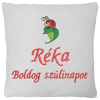 2-3 szóval + Mintával hímzett párnák